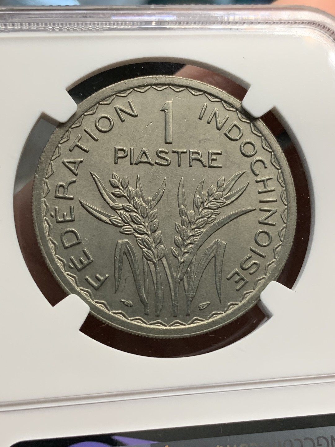 《竞宝斋》第69场-本周日，周一，周四.3场连拍（全场不限金额包邮） NGC UNC 1947年 法属印度支那 1皮谷物大镍币 实物底板光洁 无明显清洗痕迹 齿边版
