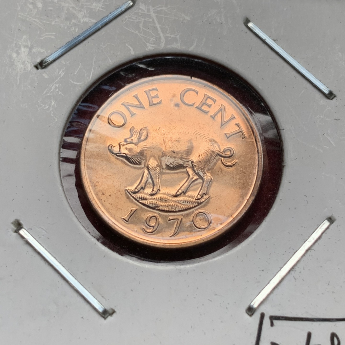 《竞宝斋》第69场-本周日，周一，周四.3场连拍（全场不限金额包邮） 1970年 百慕大（英属）6枚装 1枚银币 28.28 盒装