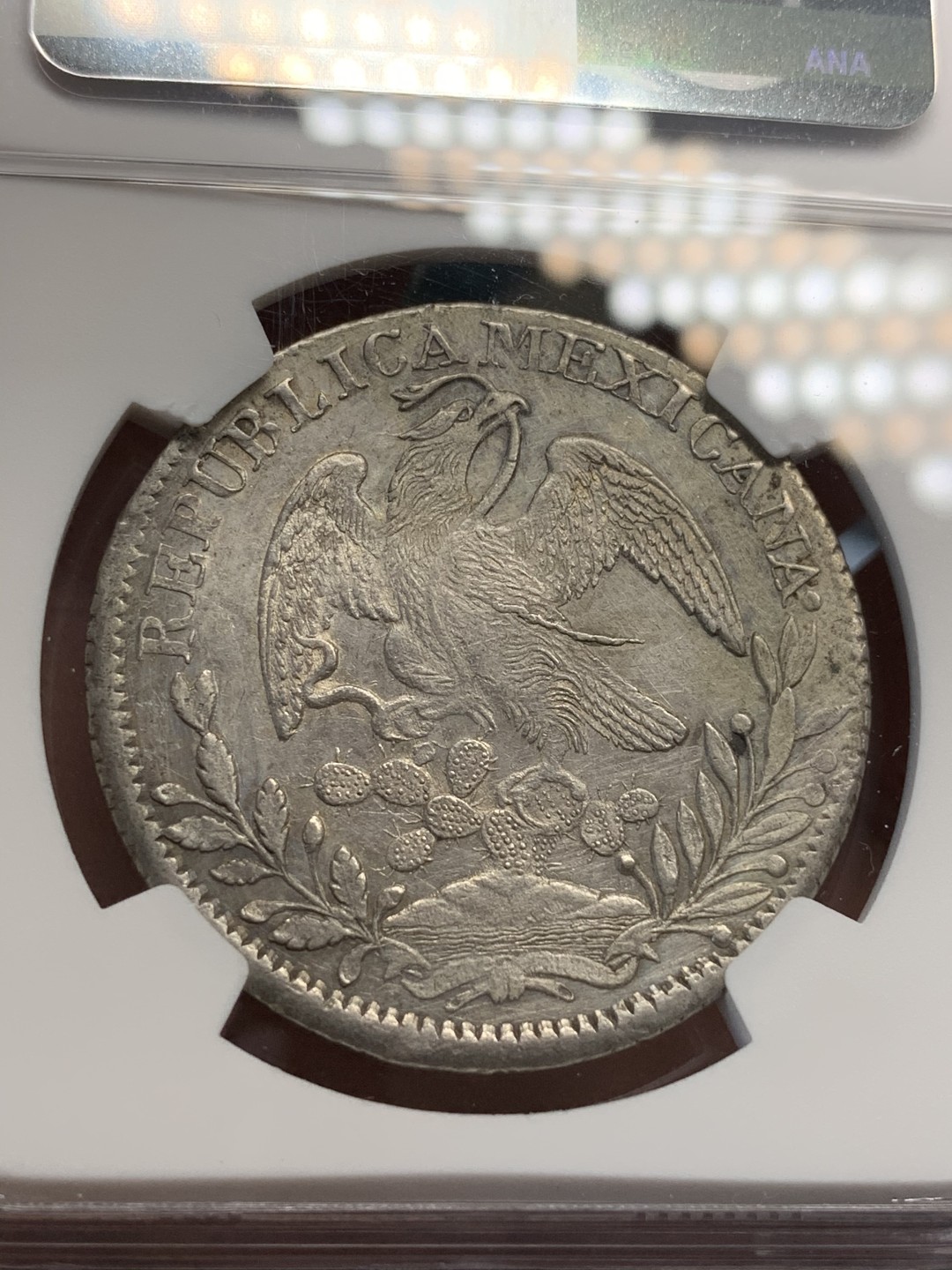 《竞宝斋》第69场-本周日，周一，周四.3场连拍（全场不限金额包邮） NGC AU评级 墨西哥 1838年 早期 鹰洋羽毛特别好 仙人掌的刺粒粒可见