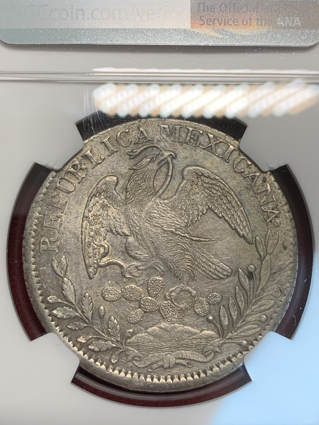 《竞宝斋》第69场-本周日，周一，周四.3场连拍（全场不限金额包邮） NGC AU评级 墨西哥 1838年 早期 鹰洋羽毛特别好 仙人掌的刺粒粒可见