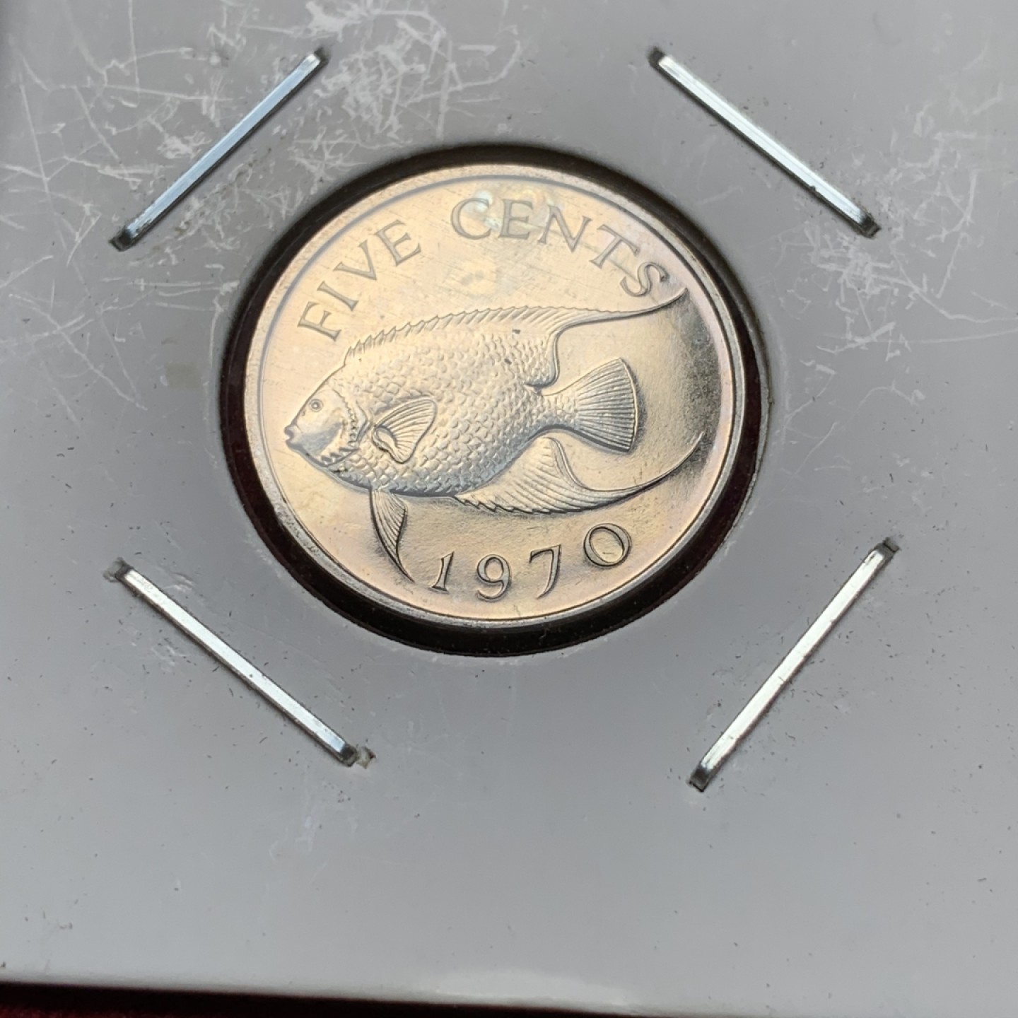 《竞宝斋》第69场-本周日，周一，周四.3场连拍（全场不限金额包邮） 1970年 百慕大（英属）6枚装 1枚银币 28.28 盒装