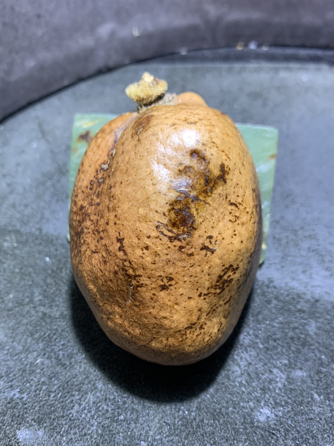 精美佛心果原果一个，