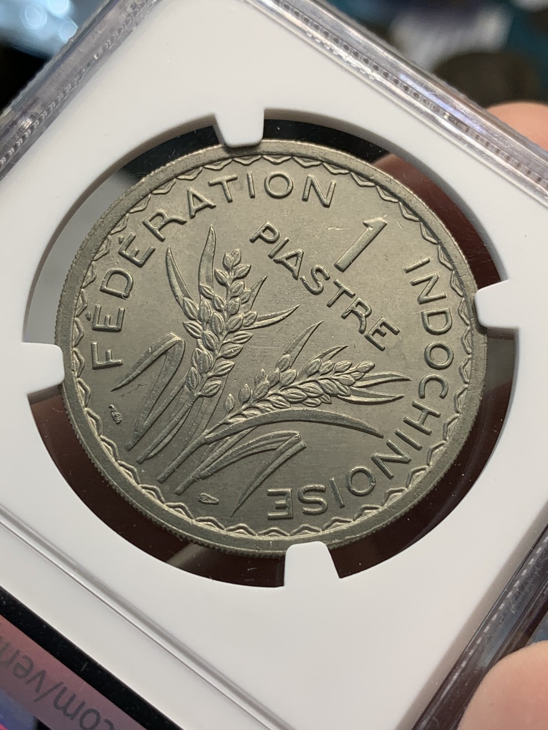 《竞宝斋》第69场-本周日，周一，周四.3场连拍（全场不限金额包邮） NGC UNC 1947年 法属印度支那 1皮谷物大镍币 实物底板光洁 无明显清洗痕迹 齿边版