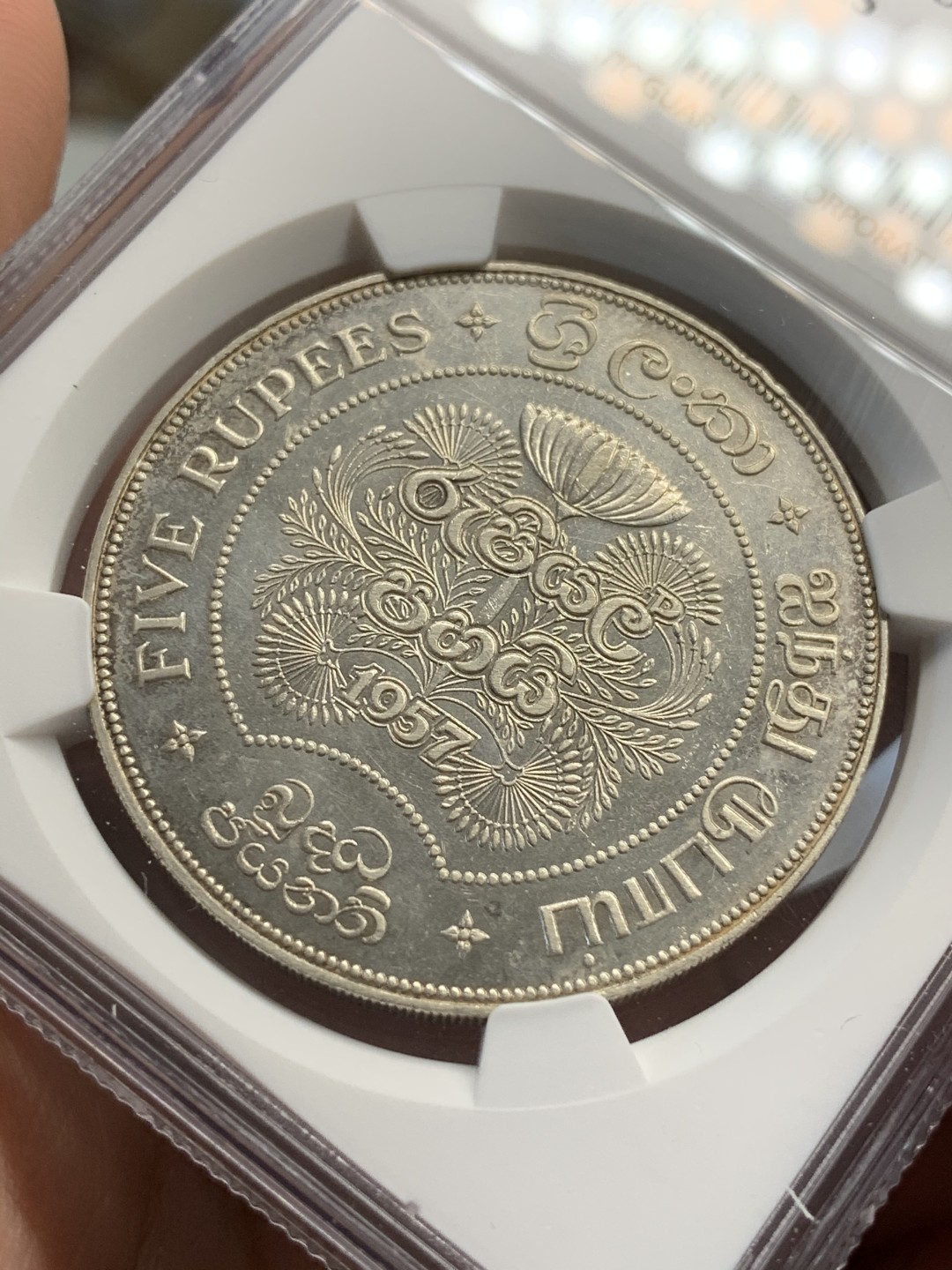 《竞宝斋》第69场-本周日，周一，周四.3场连拍（全场不限金额包邮） NGC UNC 锡兰 1957年佛教2500年5R大银币 热门品种