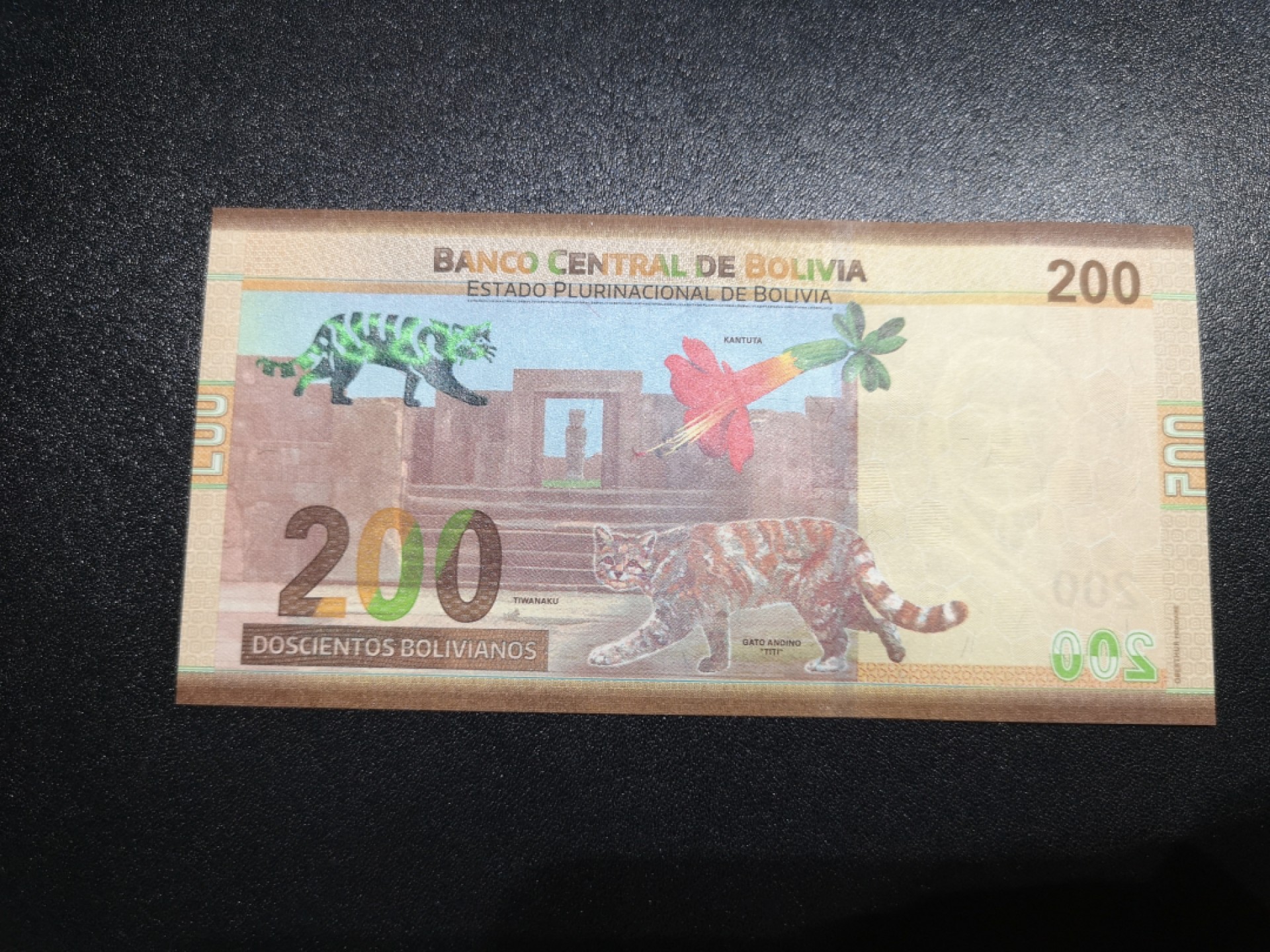 《外钞收藏家》第一百八十六期 2018年玻利维亚200 全新UNC