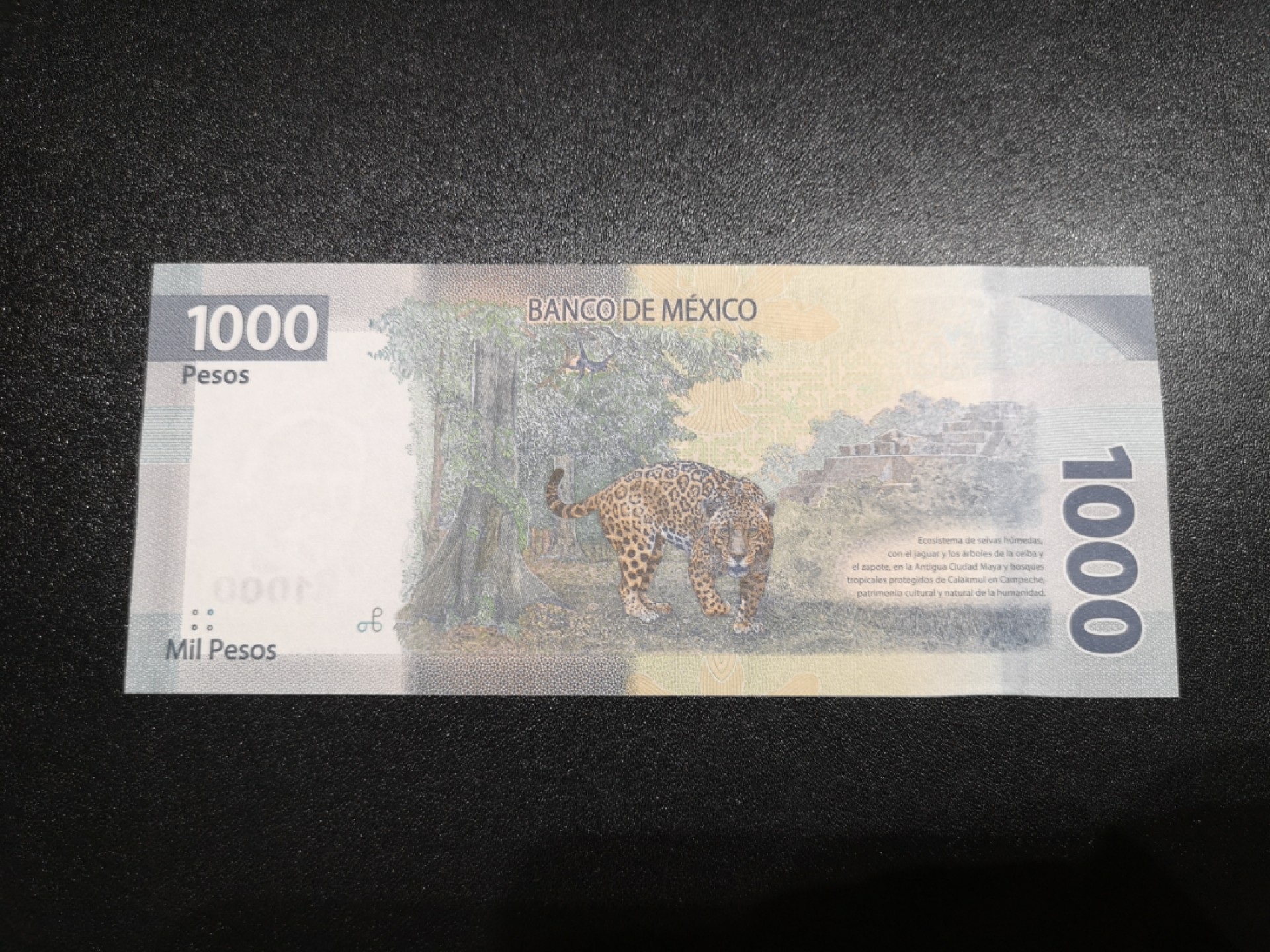 《外钞收藏家》第一百八十六期 2021年墨西哥1000 全新UNC