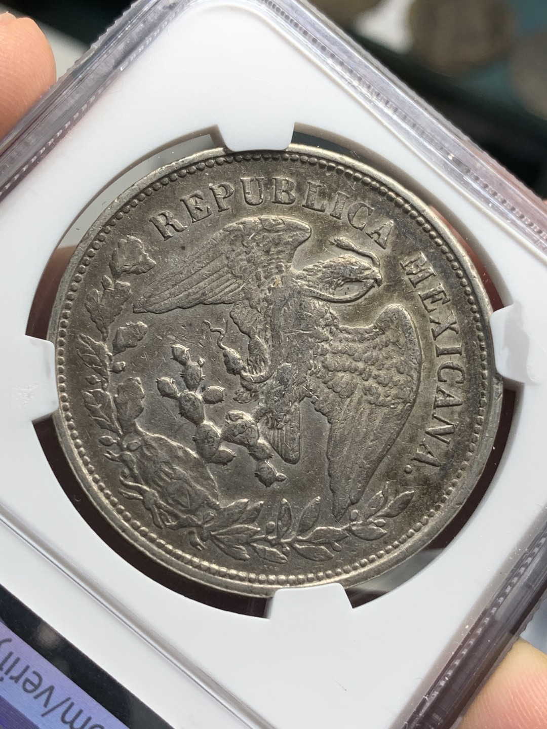 《竞宝斋》西.葡及其殖民地国家专场-第70场（全场不限金额包邮） NGC AUD 墨西哥 1903年MO AM版 直边 鹰洋银币原味老包浆 双面均匀