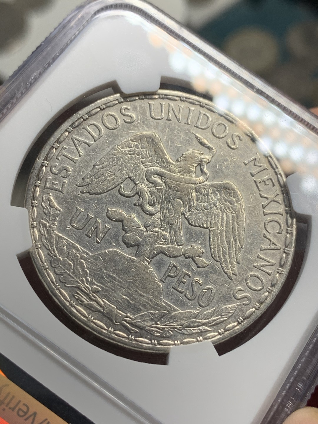 《竞宝斋》西.葡及其殖民地国家专场-第70场（全场不限金额包邮） NGC-XFD 墨西哥骑马鹰洋 1911年 1比索银币 热门的骑马鹰洋 当个品种 合适