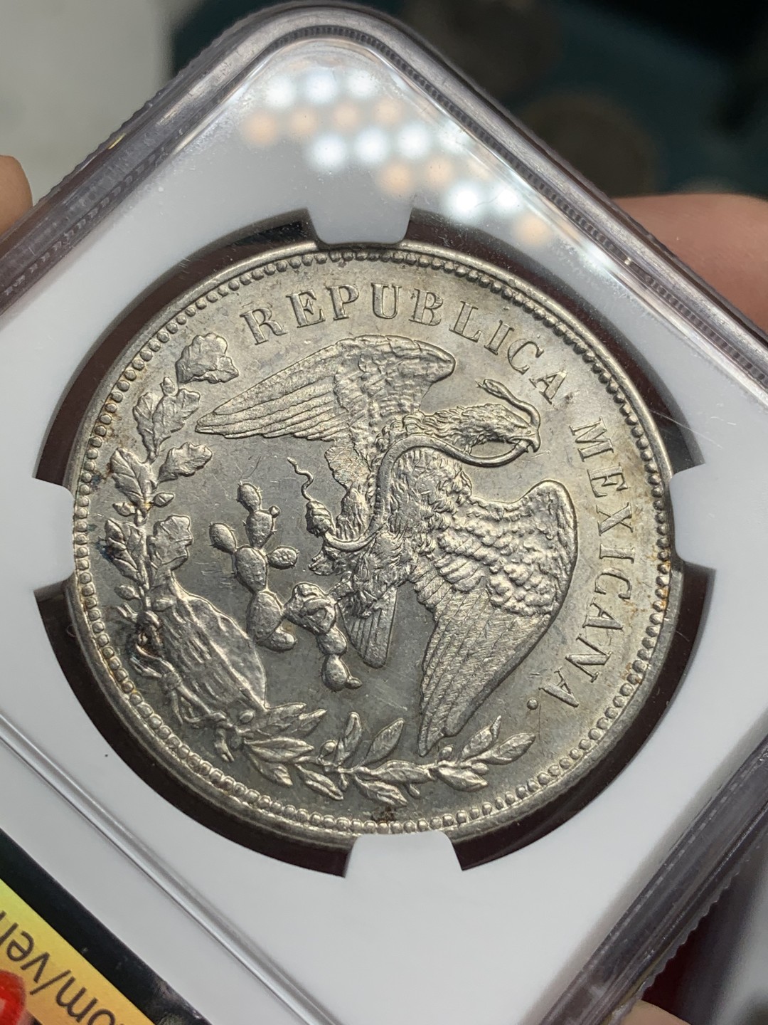 《竞宝斋》西.葡及其殖民地国家专场-第70场（全场不限金额包邮） NGC-ms61 墨西哥 1909年 直边鹰洋 1比索银币  原味五彩包浆