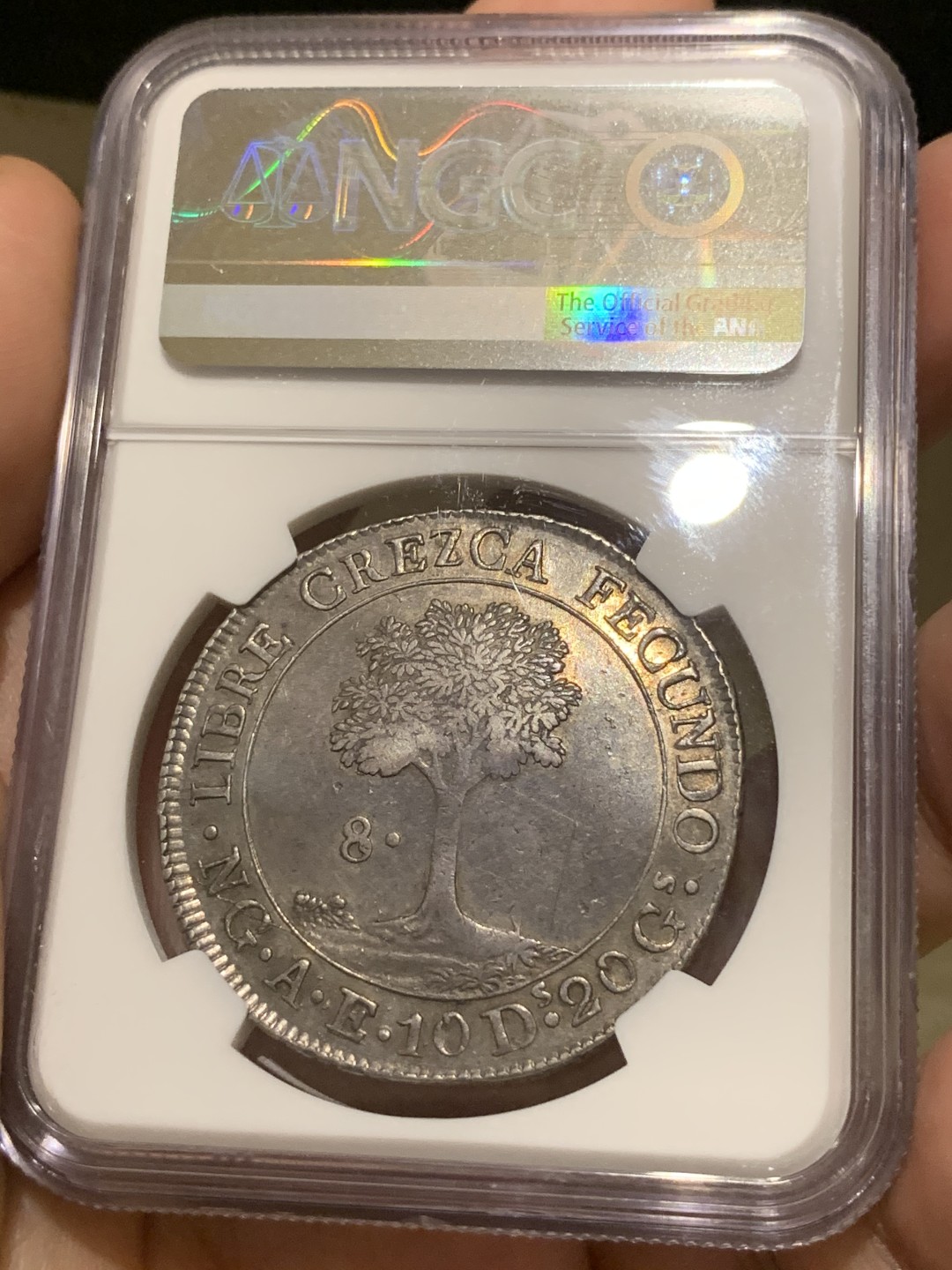 《竞宝斋》西.葡及其殖民地国家专场-第70场（全场不限金额包邮） NGC-AU53 双骑字版！ 中美洲太阳脸 1846/2  CREZCA/CRESCA  8里亚尔 深彩包浆 热门首选  