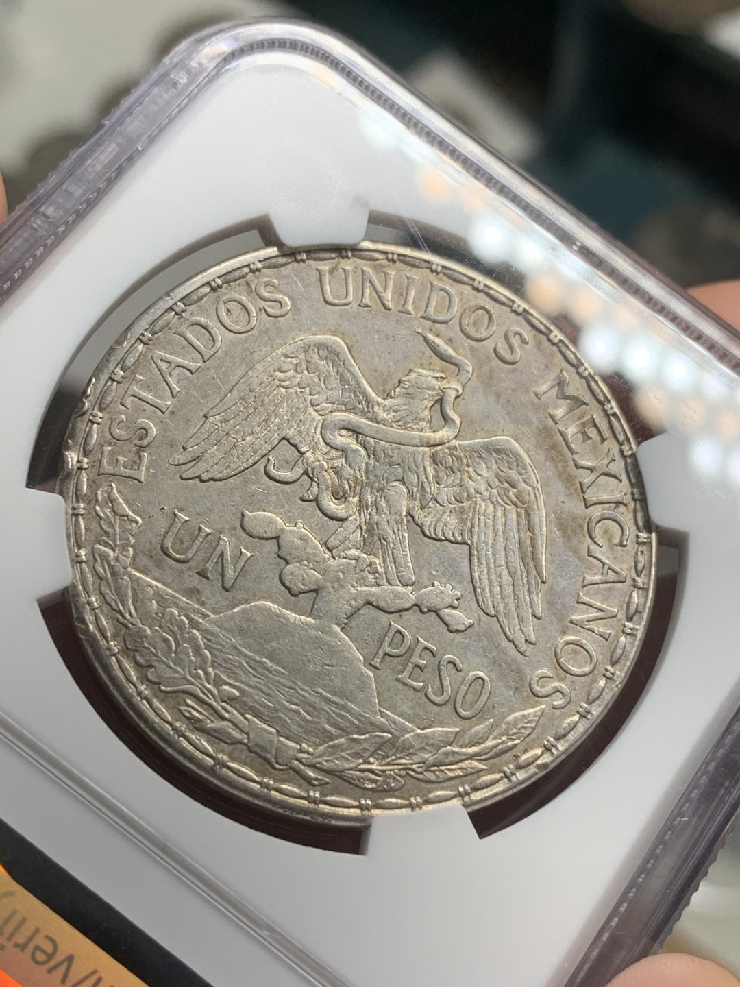 《竞宝斋》西.葡及其殖民地国家专场-第70场（全场不限金额包邮） NGC-XFD 墨西哥 1913年 骑马鹰洋 1比索银币 最热墨西哥币 状态好