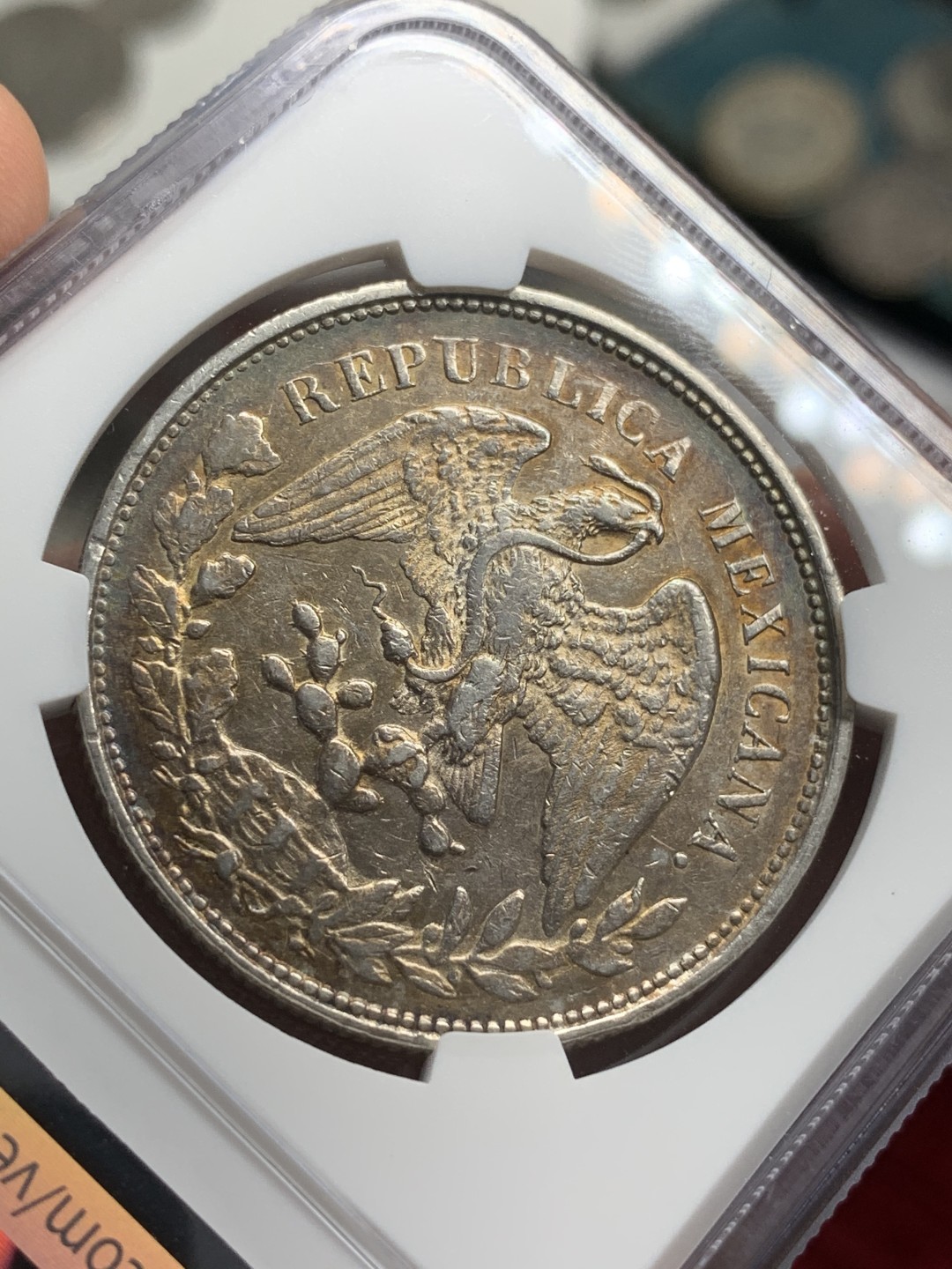 《竞宝斋》西.葡及其殖民地国家专场-第70场（全场不限金额包邮） NGC AUD 墨西哥 1901年MO AM版 直边 鹰洋银币双面金色包浆 状态可以