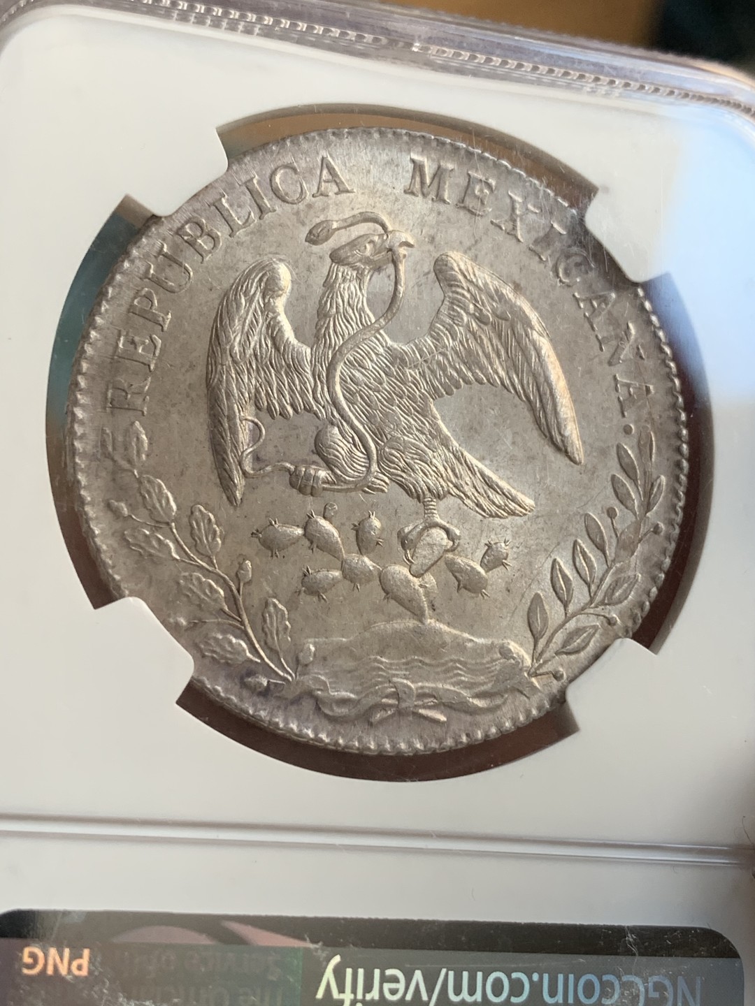 《竞宝斋》西.葡及其殖民地国家专场-第70场（全场不限金额包邮） NGC MS64 墨西哥 1893PI版 花边鹰洋 波多西最后一年 比较少的品种 底板光亮 羽毛好 淡五彩包浆