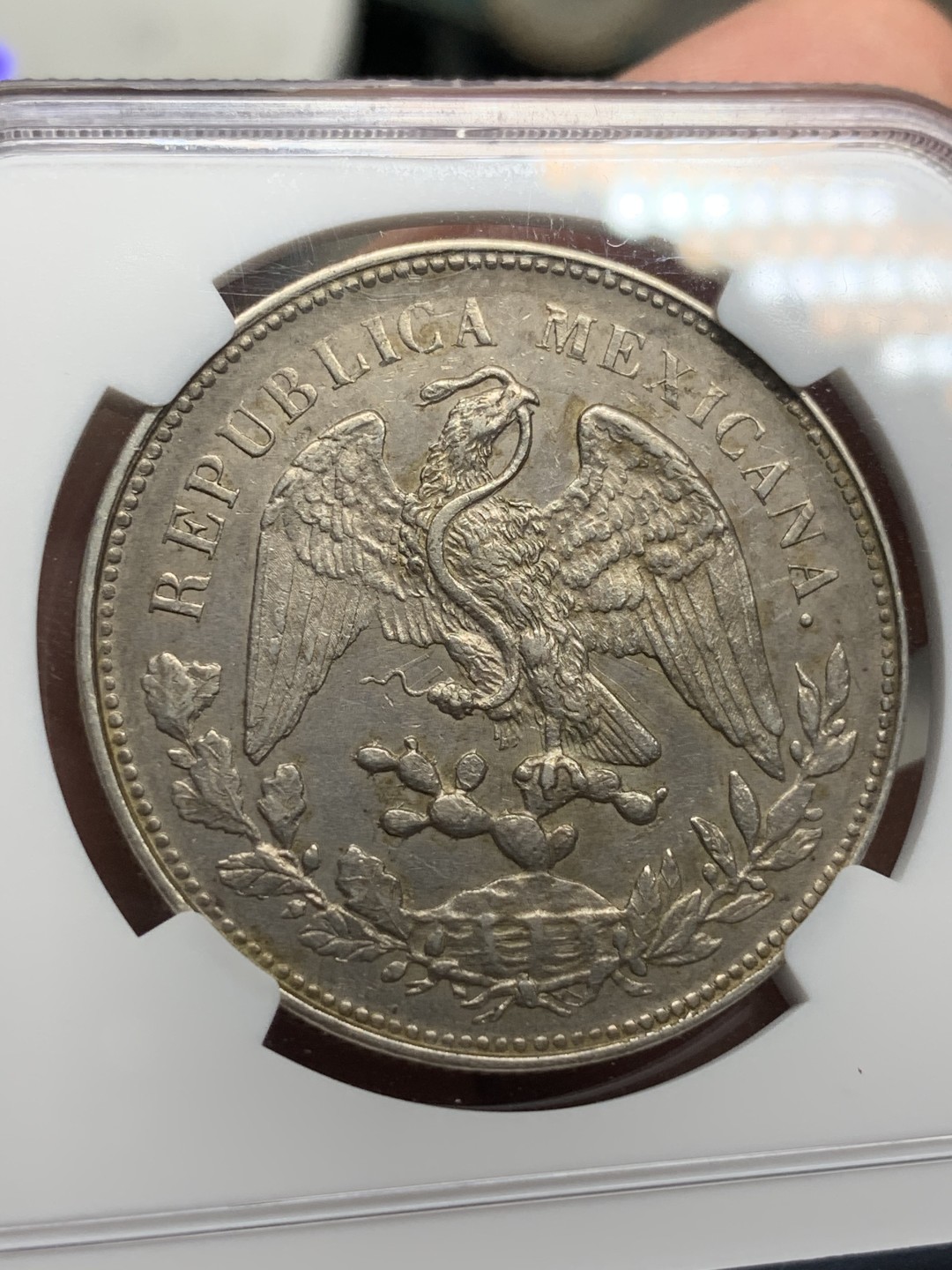 《竞宝斋》西.葡及其殖民地国家专场-第70场（全场不限金额包邮） NGC-UNCD 墨西哥 大飞鹰  1901年 1比索银币  原味五彩包浆