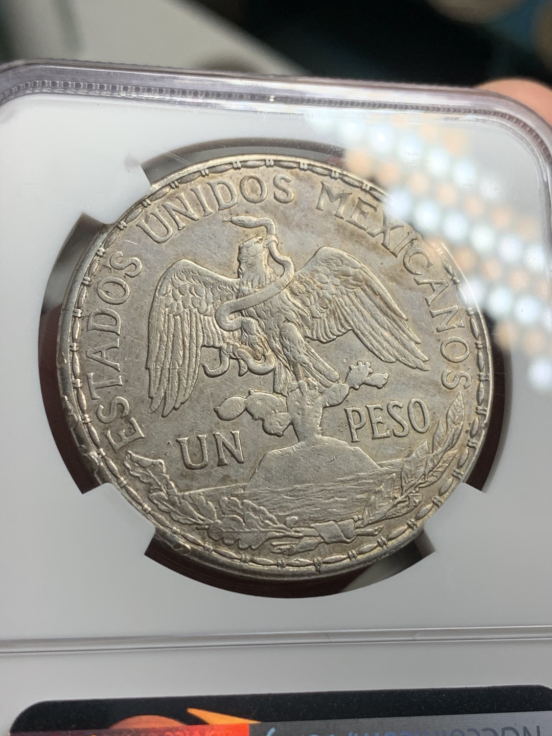 《竞宝斋》西.葡及其殖民地国家专场-第70场（全场不限金额包邮） NGC-XFD 墨西哥 1913年 骑马鹰洋 1比索银币 最热墨西哥币 状态好