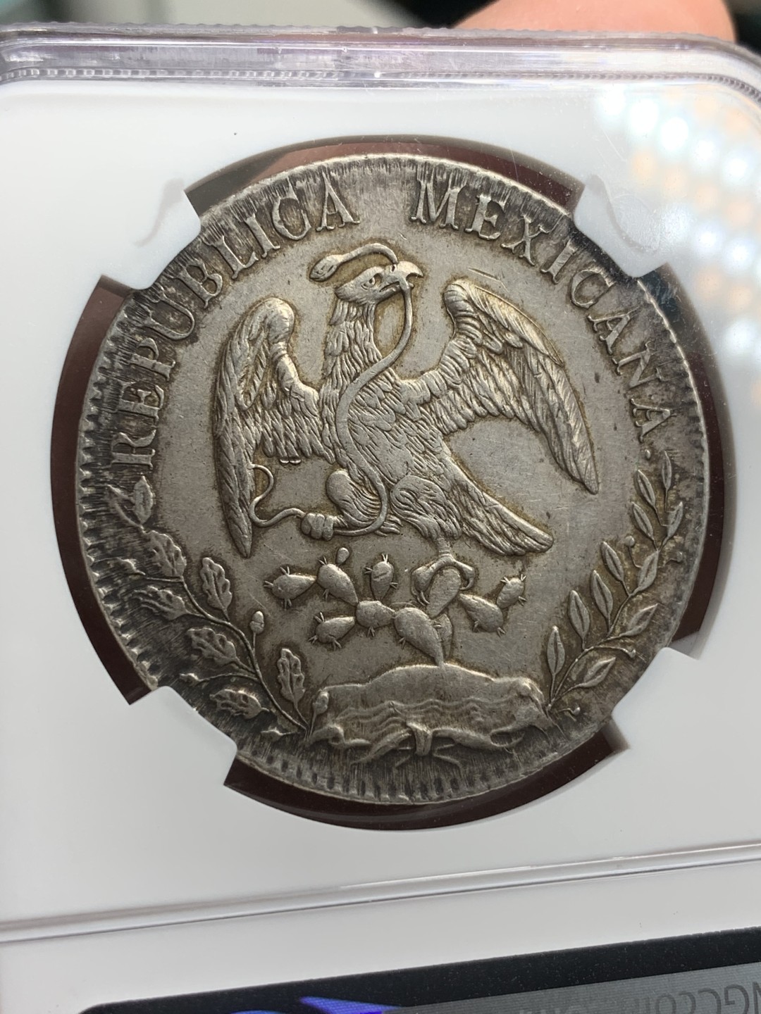 《竞宝斋》西.葡及其殖民地国家专场-第70场（全场不限金额包邮） NGC-AUD 墨西哥 1889年CA MM版 花边鹰洋 8里亚尔银币 原味黑包浆 带点彩 个人非常喜欢  