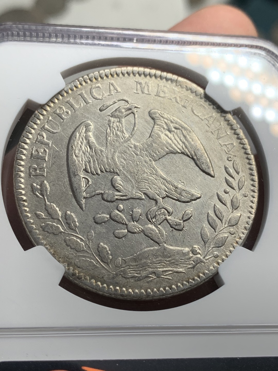 《竞宝斋》西.葡及其殖民地国家专场-第70场（全场不限金额包邮） NGC-AUD 墨西哥 1856年 花边鹰洋 大银币 中期好品