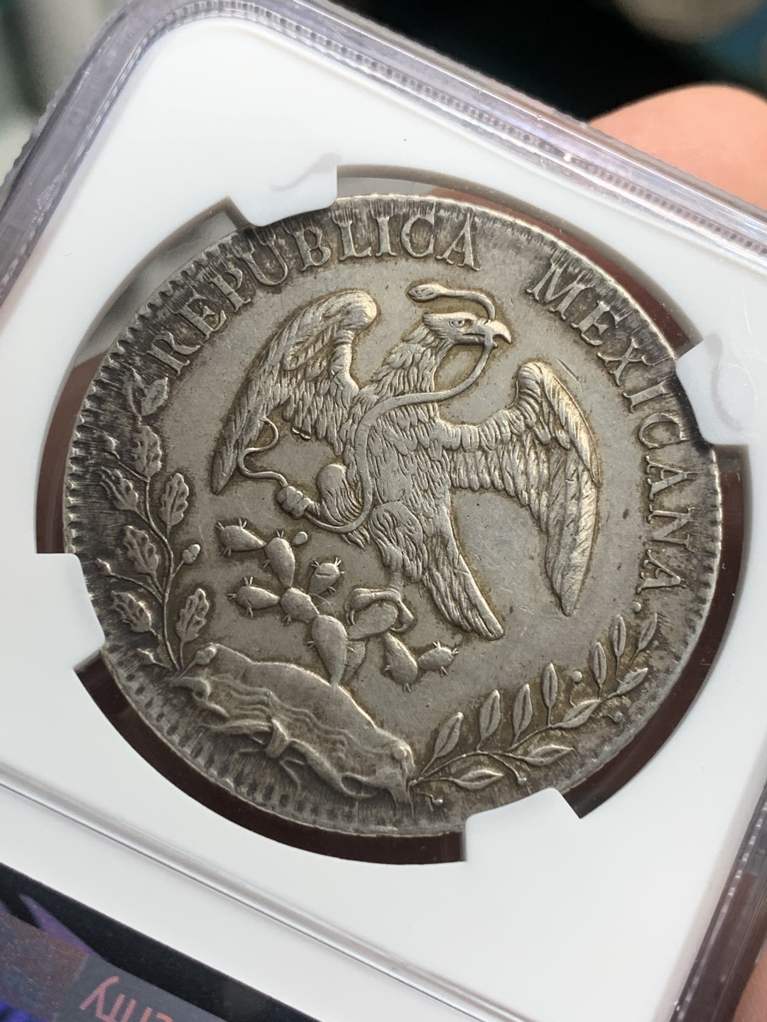 《竞宝斋》西.葡及其殖民地国家专场-第70场（全场不限金额包邮） NGC-AUD 墨西哥 1889年CA MM版 花边鹰洋 8里亚尔银币 原味黑包浆 带点彩 个人非常喜欢  