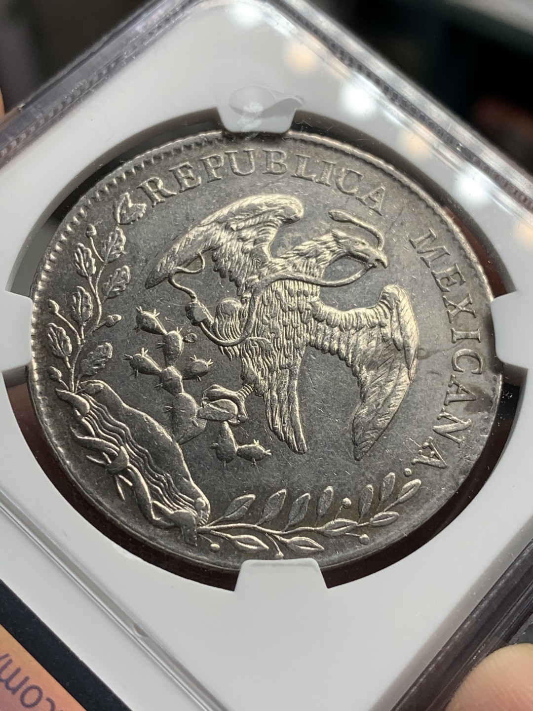 《竞宝斋》西.葡及其殖民地国家专场-第70场（全场不限金额包邮） NGC-AUD 墨西哥花边鹰洋  1890年AS ML版 8R银币  原味带底光 