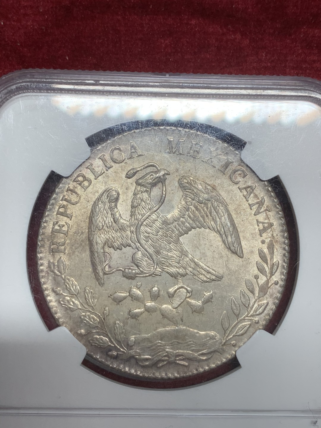 《竞宝斋》西.葡及其殖民地国家专场-第70场（全场不限金额包邮） NGC MS64 墨西哥 1893PI版 花边鹰洋 波多西最后一年 比较少的品种 底板光亮 羽毛好 淡五彩包浆