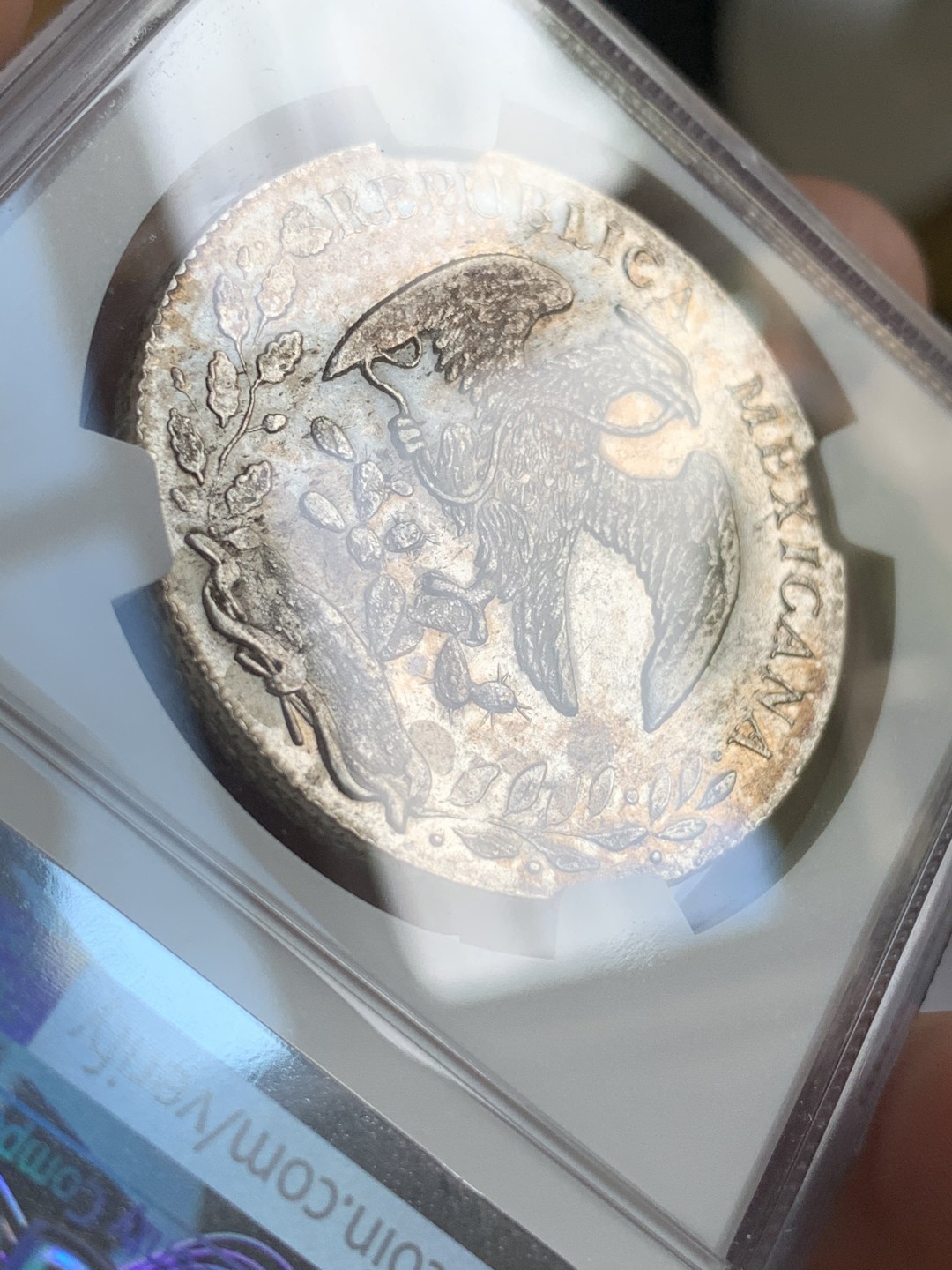 《竞宝斋》西.葡及其殖民地国家专场-第70场（全场不限金额包邮） NGC AUD 墨西哥 1859年 花边鹰洋 大银币细节好，打制也不错 可收藏