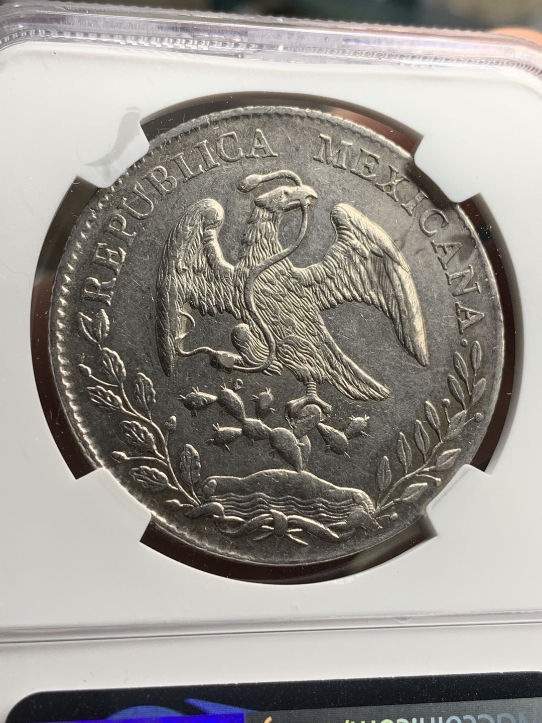 《竞宝斋》西.葡及其殖民地国家专场-第70场（全场不限金额包邮） NGC-AUD 墨西哥花边鹰洋  1890年AS ML版 8R银币  原味带底光 