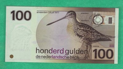 荷兰100盾纸币 1977年版 1981年 克劳斯目录P-97a 实物图 UNC