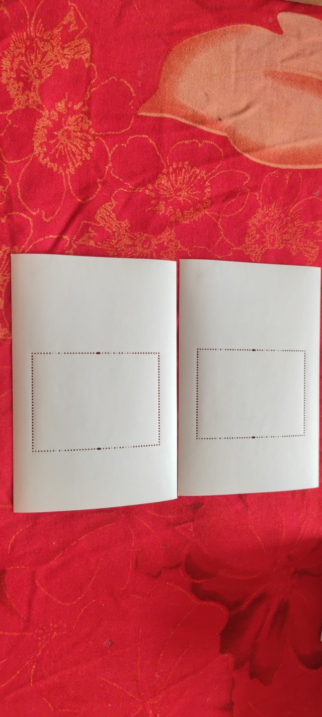 一米收藏，开心上拍(第四十八期)！！！ 中国古典文学名著(红楼梦)小型张邮票2枚！