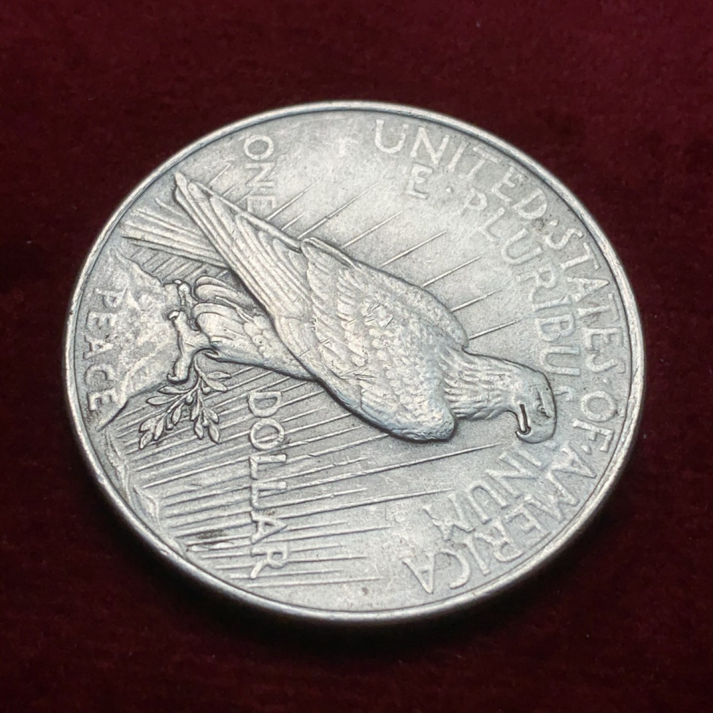 《竞宝斋》第71场-本周日，周一2场连拍（全场不限金额包邮） 美国1922年 和平鸽一元大银币 原光好品 自己送评