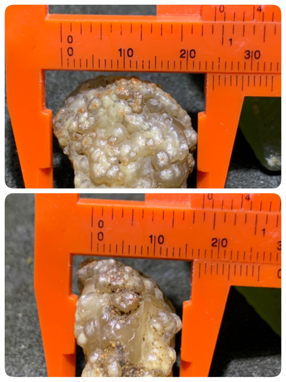 精美戈壁鱼籽纹筋脉石原石一颗，
