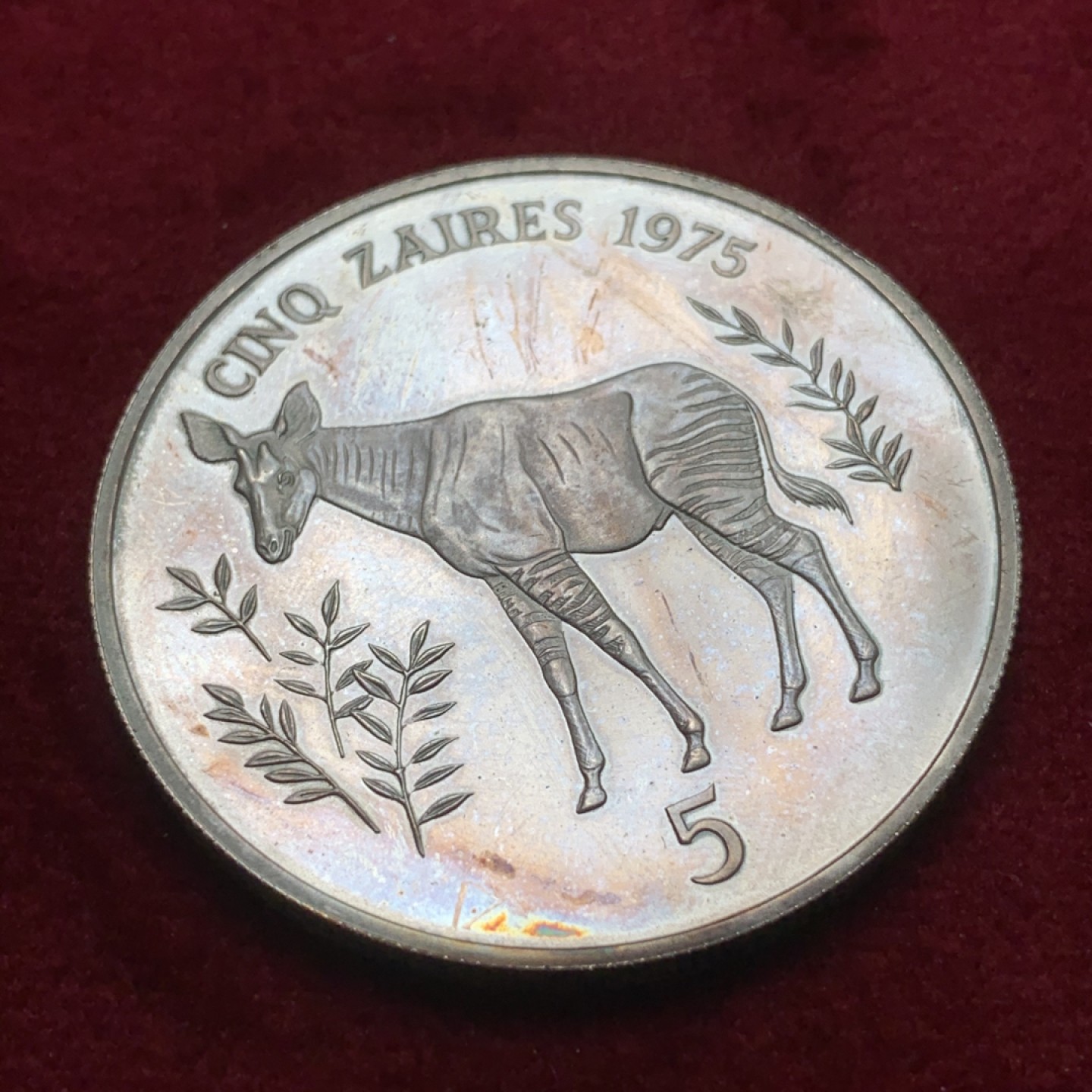 《竞宝斋》第71场-本周日，周一2场连拍（全场不限金额包邮） 扎伊尔 1975年㺢㹢狓长颈鹿 5扎 精致大银币 稀少品种