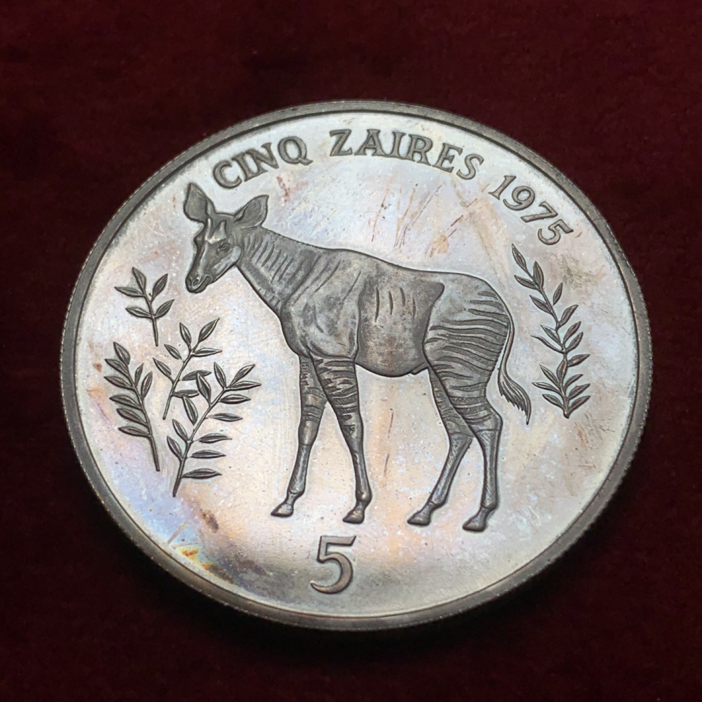 《竞宝斋》第71场-本周日，周一2场连拍（全场不限金额包邮） 扎伊尔 1975年㺢㹢狓长颈鹿 5扎 精致大银币 稀少品种
