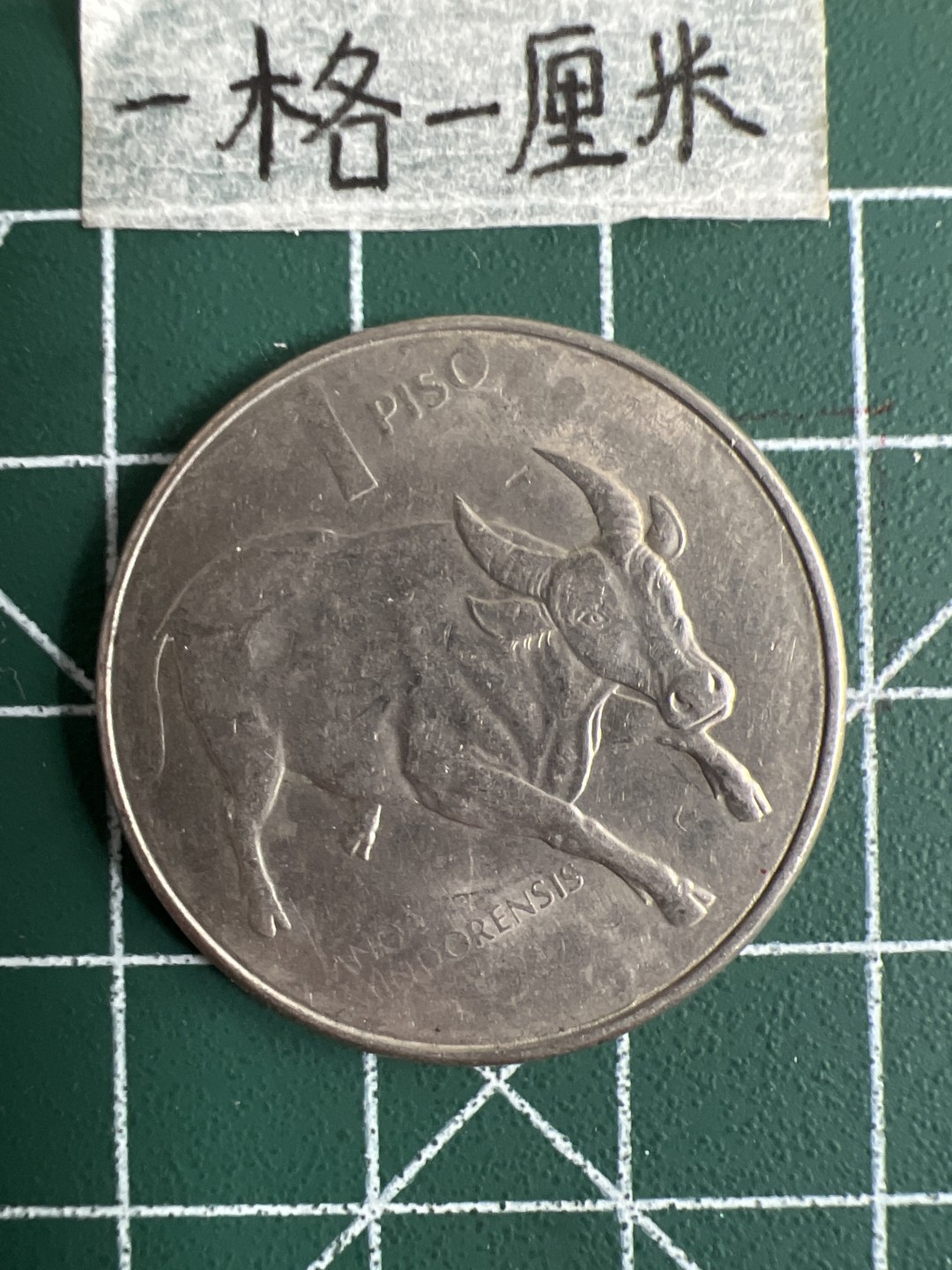 泡泡堂第十七期  世界硬币邮票专场（全场20包邮） 菲律宾牛大币