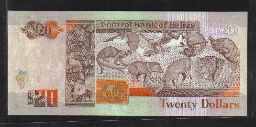 伯利兹(伯里兹)1990年20元 克劳斯P-55 美洲纸币 实物图 UNC    