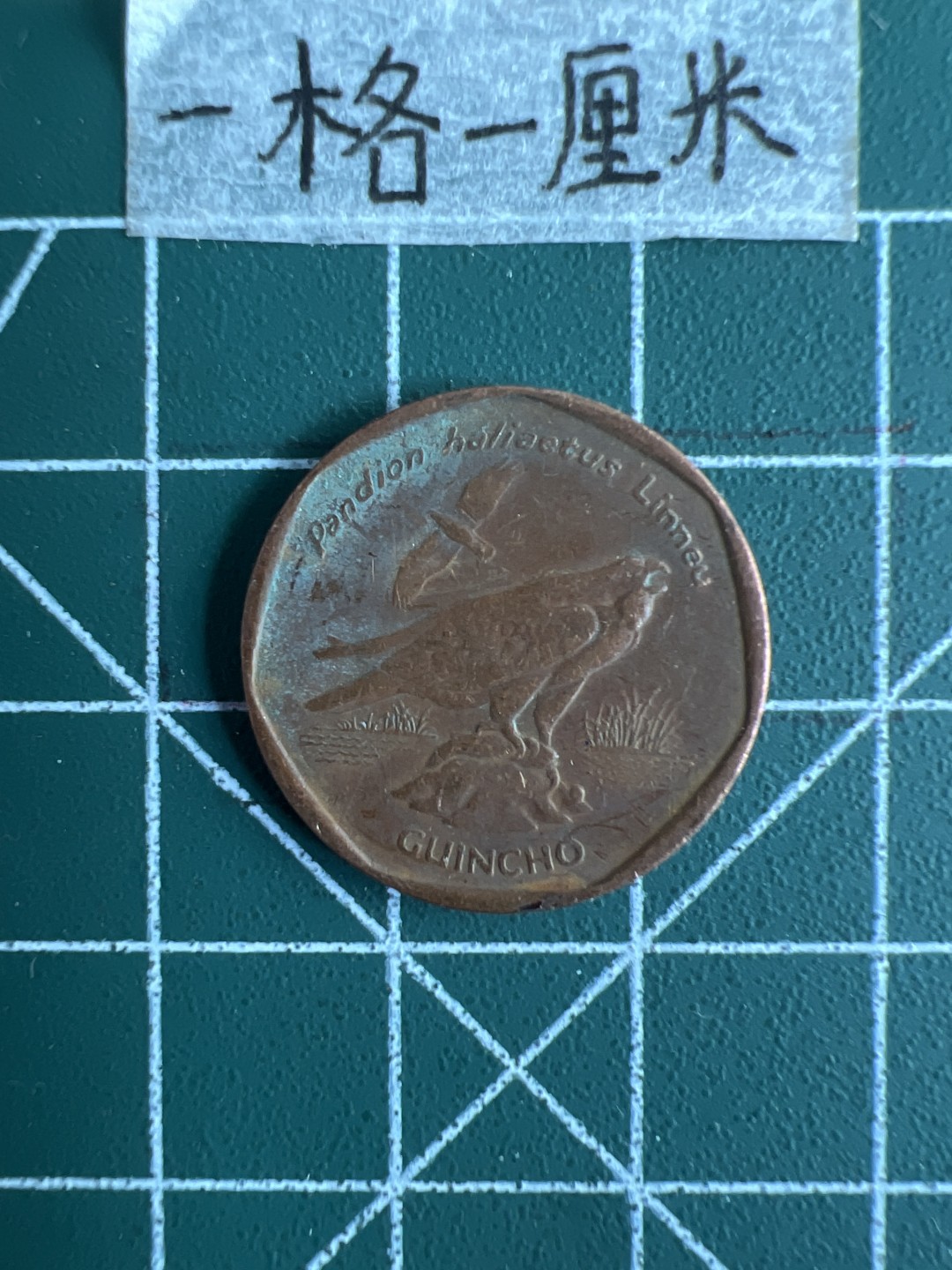 泡泡堂第十八期  世界硬币邮票专场（全场20包邮） 佛得角五块