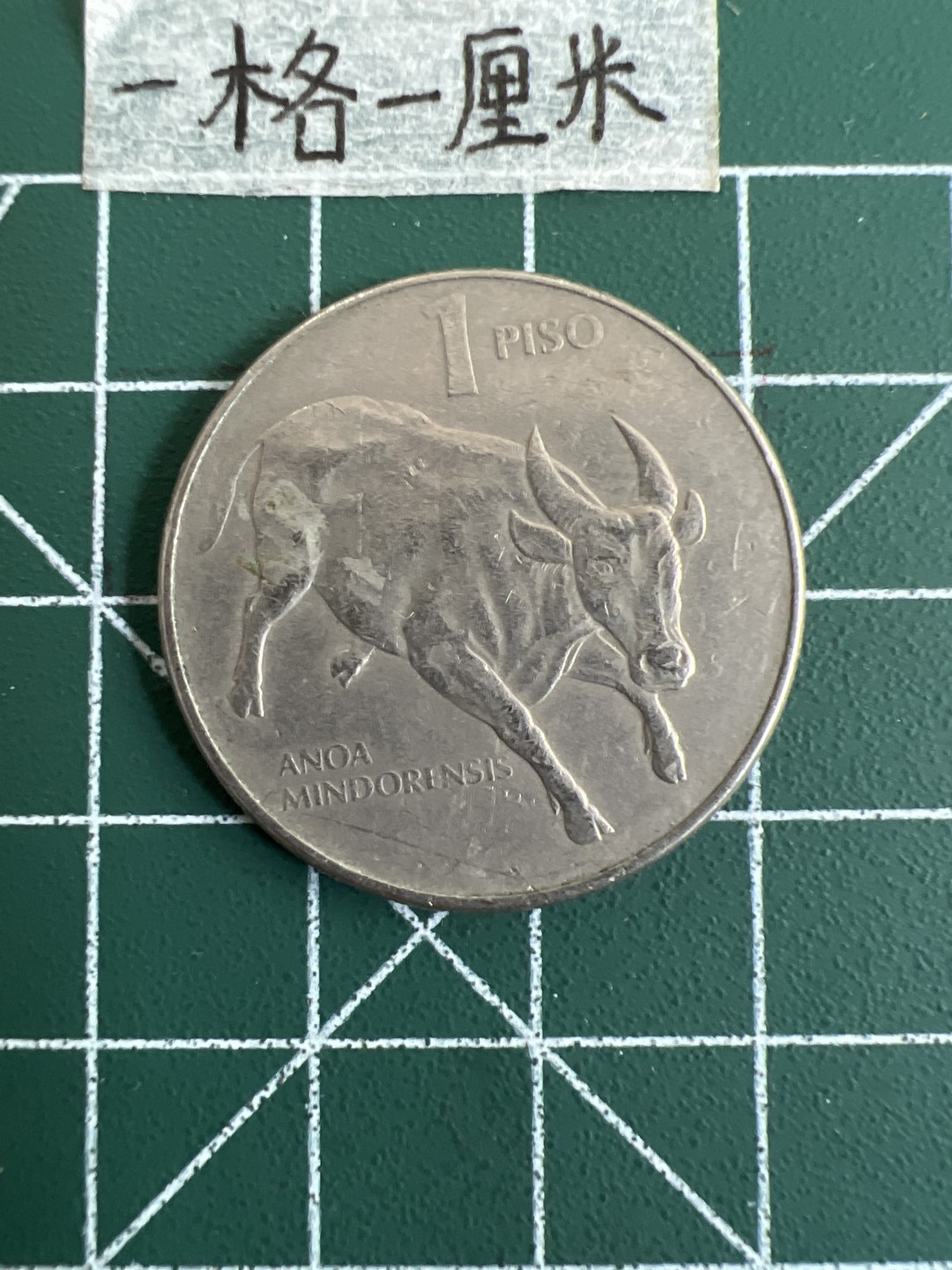 泡泡堂第十九期 世界硬币纸币专场(全场20包邮) 菲律宾牛大币