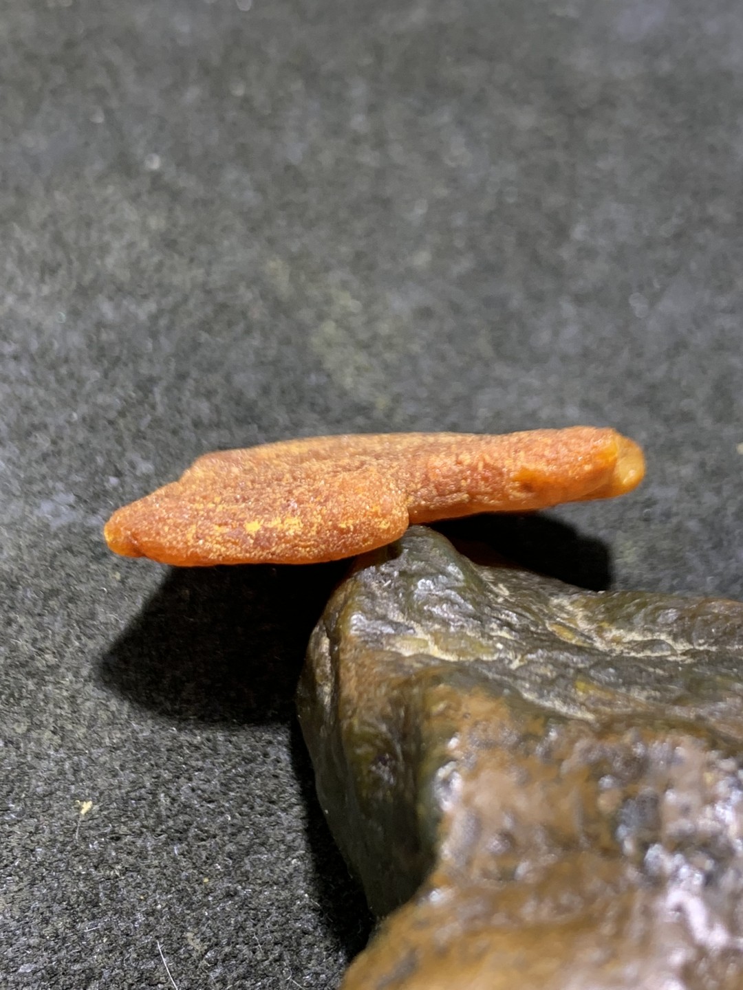 天然蜜蜡小原石一块，