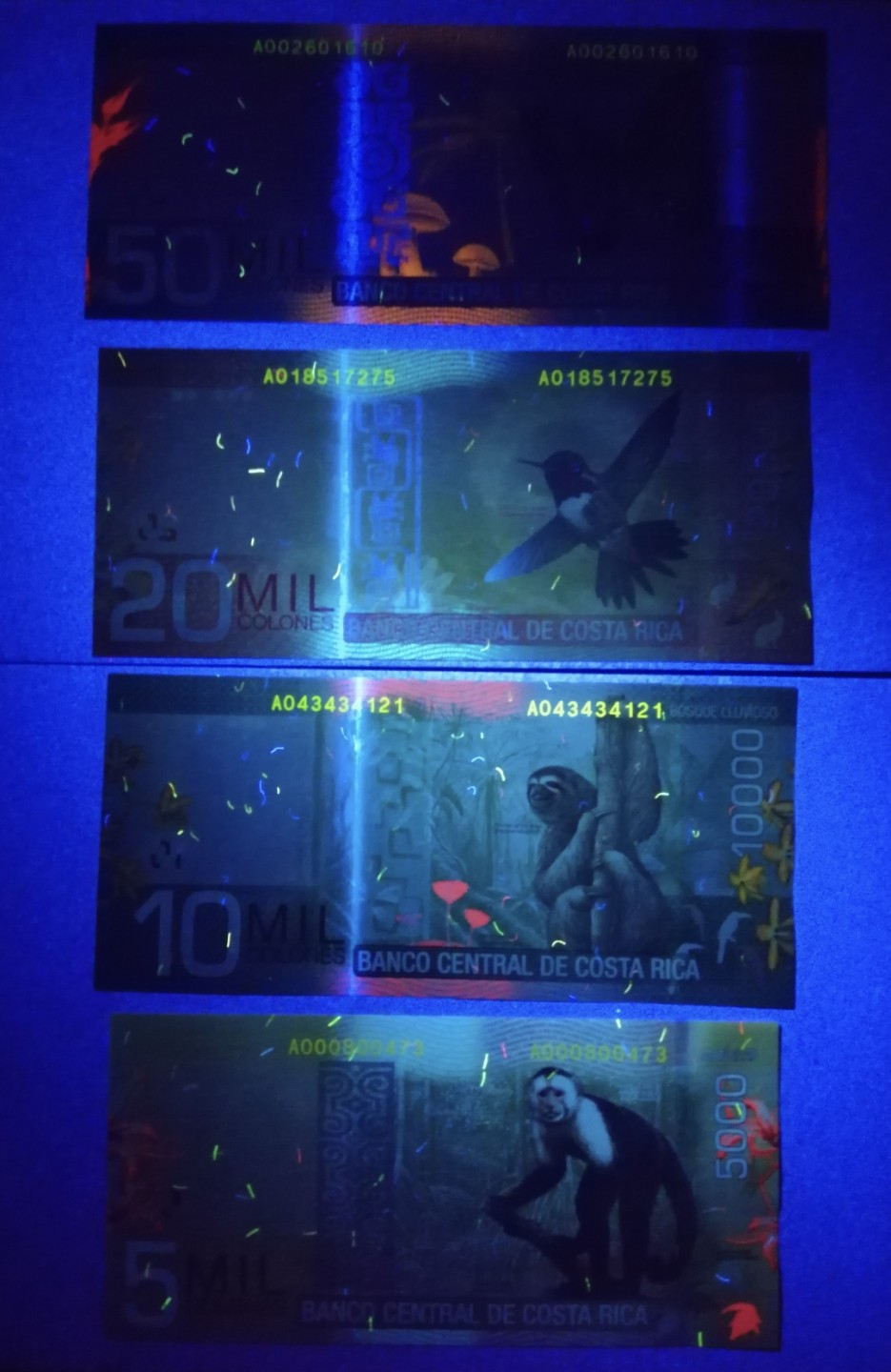 新纪元！【Blue Auction】✨世界纸币精拍第201期【精】   【一组4张 A0冠初版】哥斯达黎加 2009年5000-50000克朗 全新UNC 经典紫蝶 无47