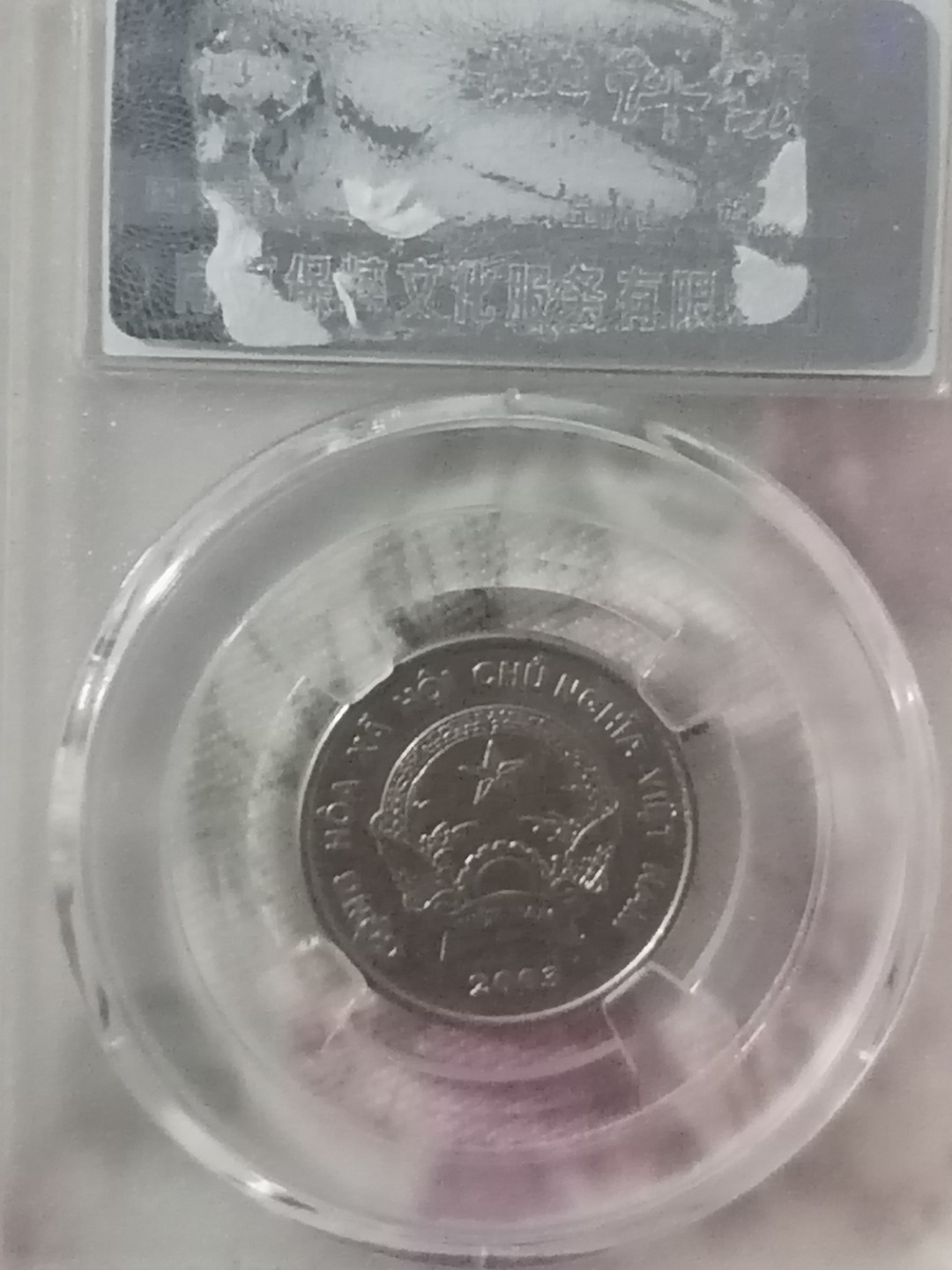 叶子民国纸钞古钱币专场 越南500盾