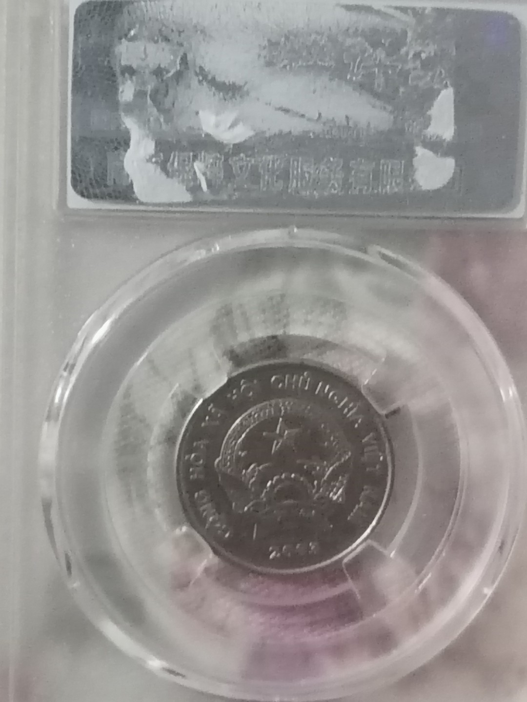 叶子民国纸钞古钱币专场 越南500盾