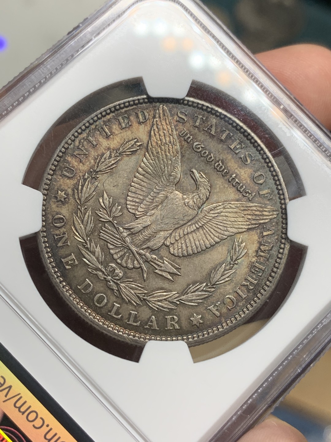 《竞宝斋》第73场-本周日，周一2场连拍（全场不限金额包邮） NGC-MS63 美国 1886年 摩根 银币 黑包浆