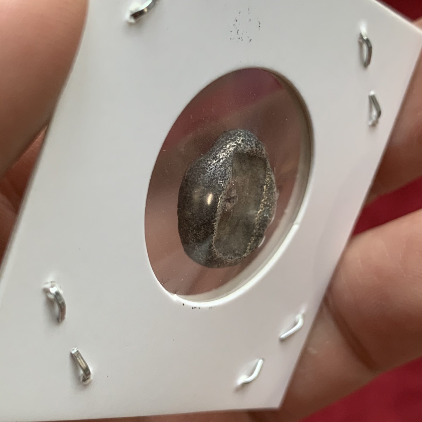 《竞宝斋》第73场-本周日，周一2场连拍（全场不限金额包邮） 公元前553-前330年 古波斯阿契美尼德王朝1西格罗斯银币 5.31克 这种银币当时被作为波斯海军的军饷