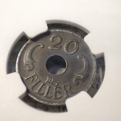 gush小明220713 匈牙利20分