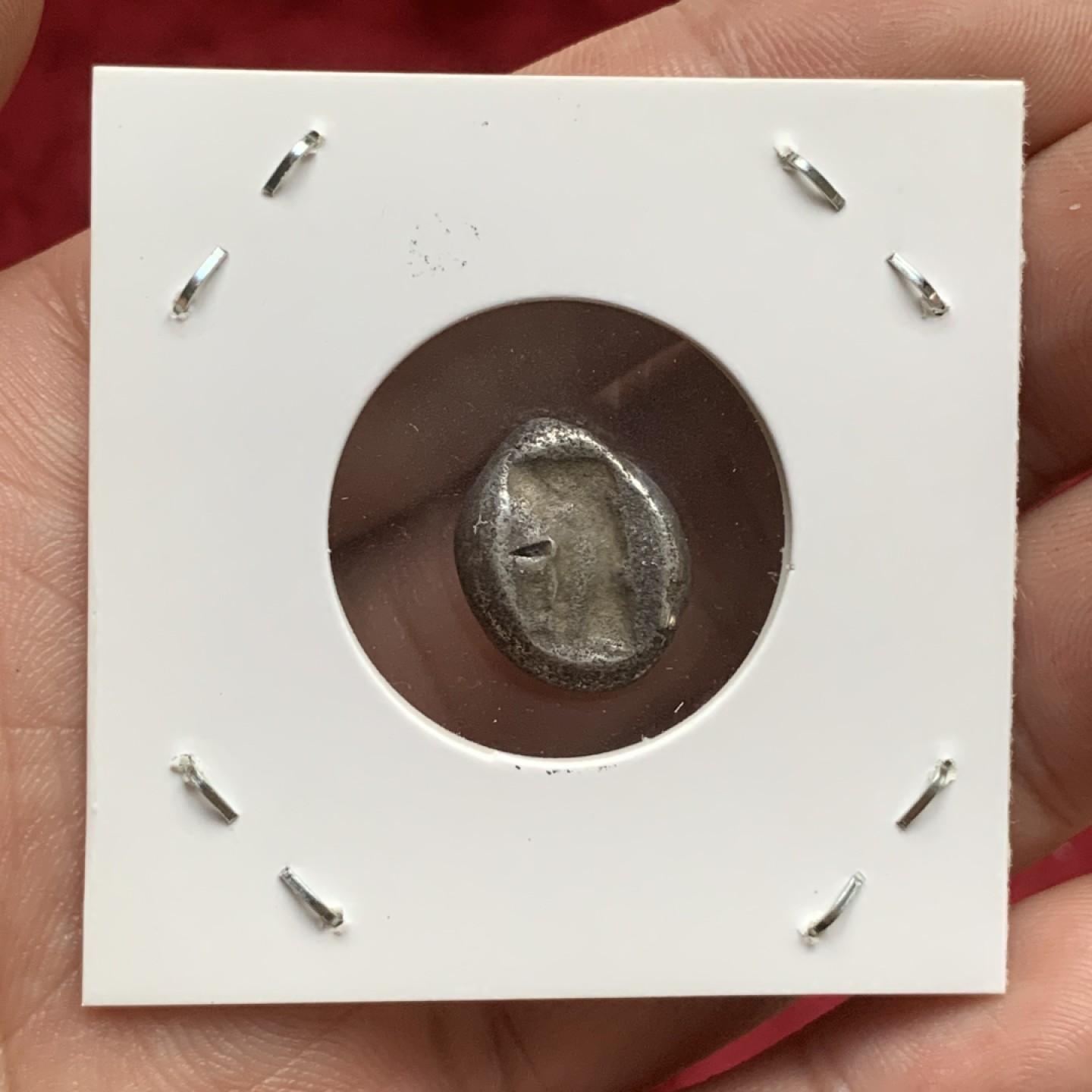 《竞宝斋》第73场-本周日，周一2场连拍（全场不限金额包邮） 公元前553-前330年 古波斯阿契美尼德王朝1西格罗斯银币 5.31克 这种银币当时被作为波斯海军的军饷