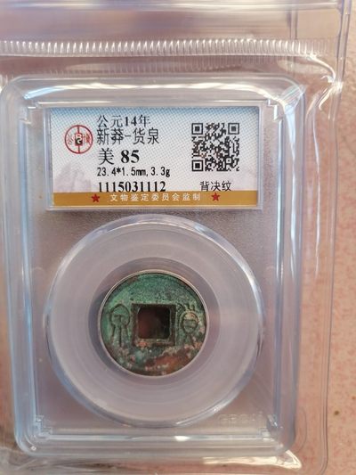 叶子民国纸钞古钱币专场 - 新莽 货泉背决纹