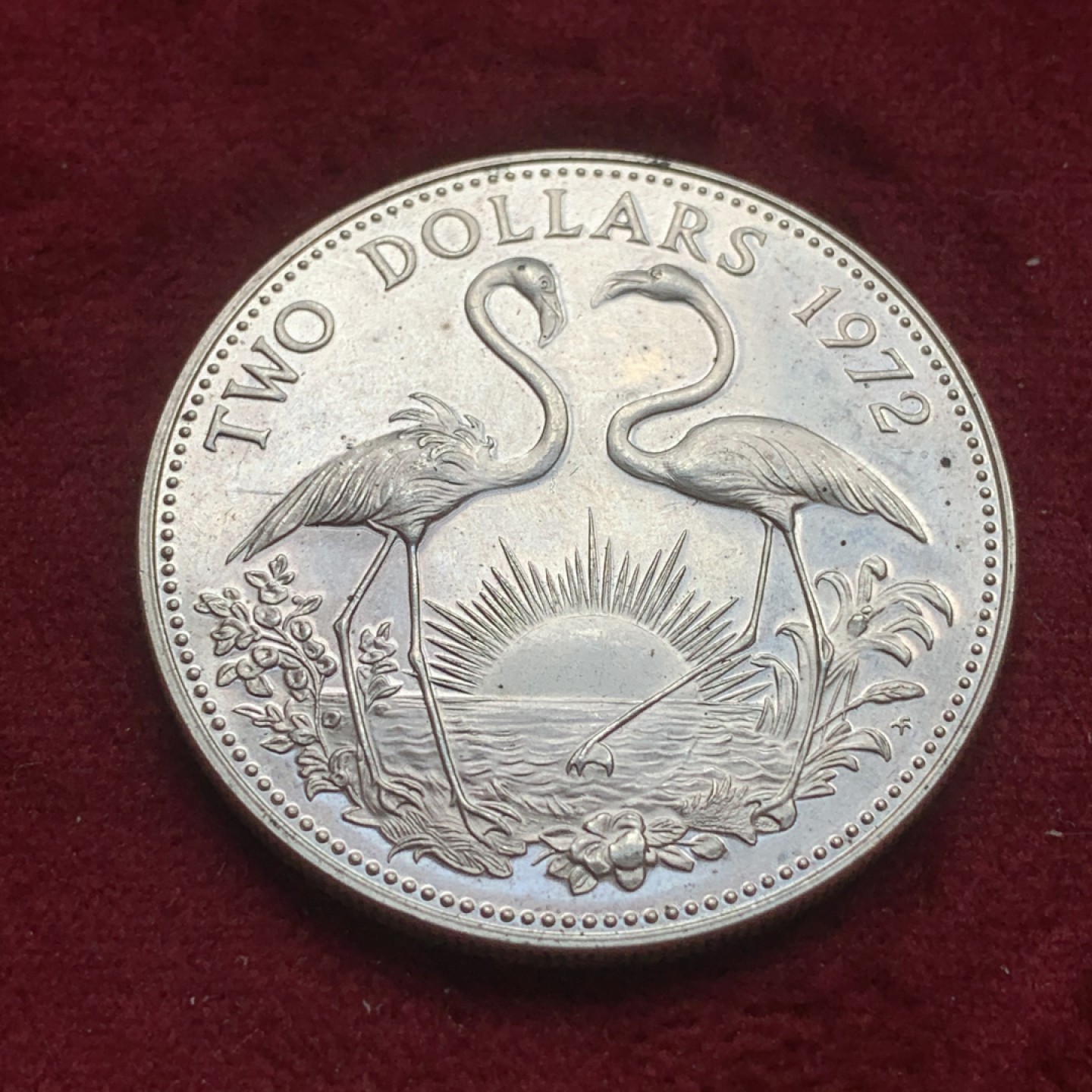 《竞宝斋》第74场-套币裸币专场 本周日，周一，周四.3场连拍（全场不限金额包邮） 巴哈马1972年火烈鸟2元 精制 大银币