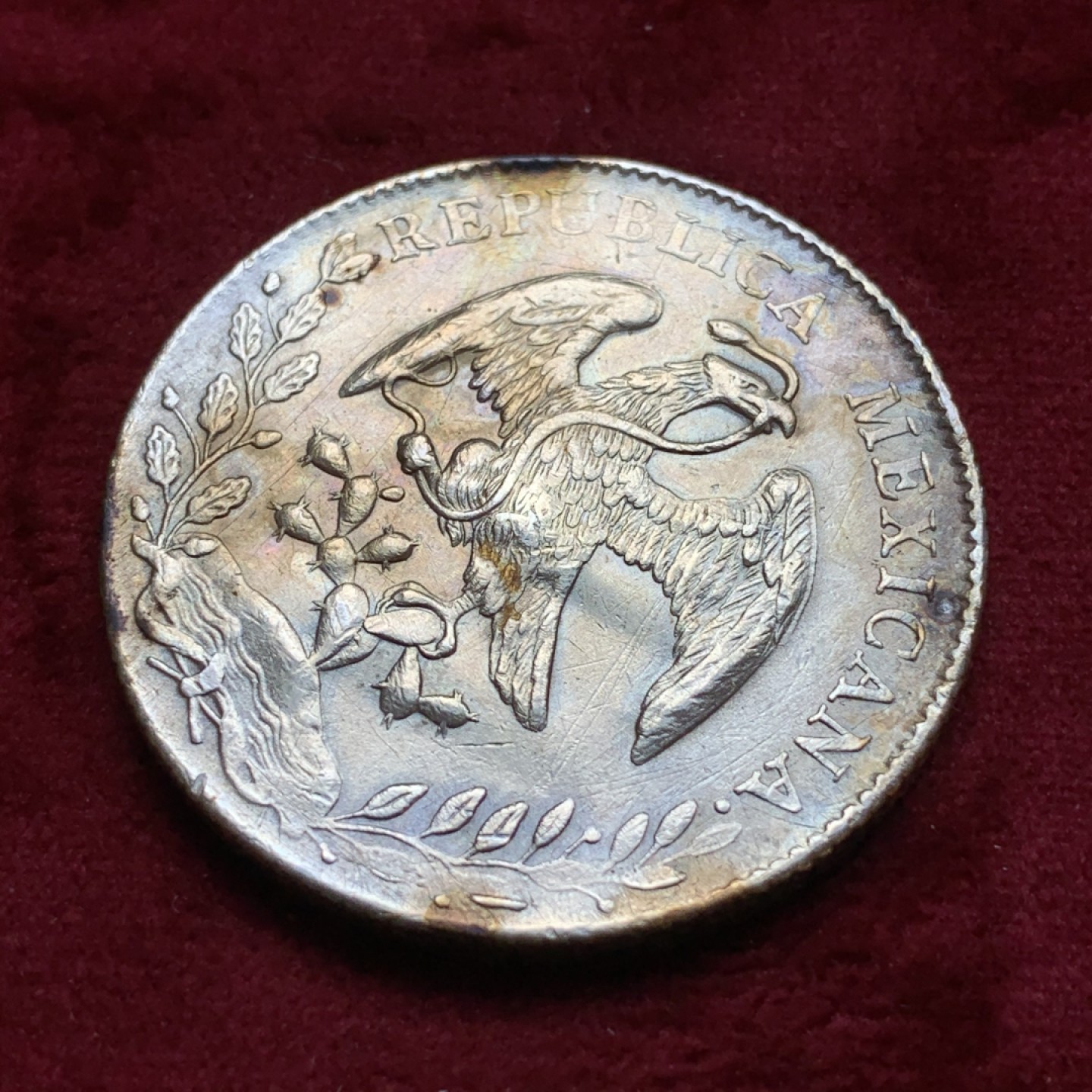 《竞宝斋》第74场-套币裸币专场 本周日，周一，周四.3场连拍（全场不限金额包邮） 墨西哥1894年Zs厂 花边鹰洋8R 近全羽 有洗过 币胚先天有小凸