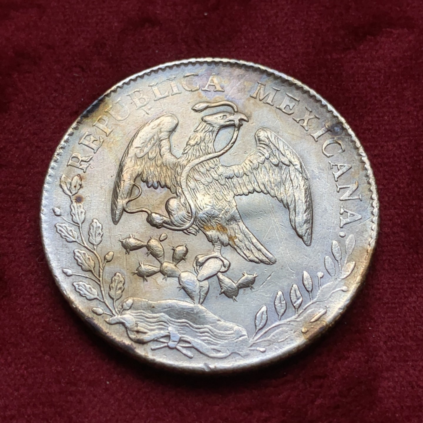 《竞宝斋》第74场-套币裸币专场 本周日，周一，周四.3场连拍（全场不限金额包邮） 墨西哥1894年Zs厂 花边鹰洋8R 近全羽 有洗过 币胚先天有小凸