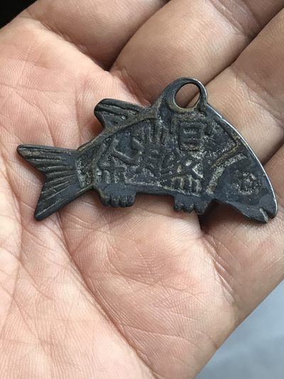 缤纷开心拍540期 包老鱼钱一枚