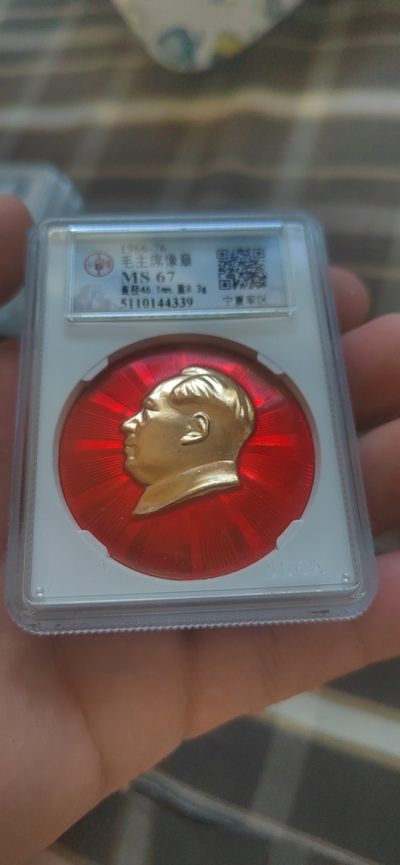 公博评级毛主席像章专场 - 🌹 🌹部队章 🌹 🌹 公博评级毛主席像章—部队章，毛主席和林副主席六三接见